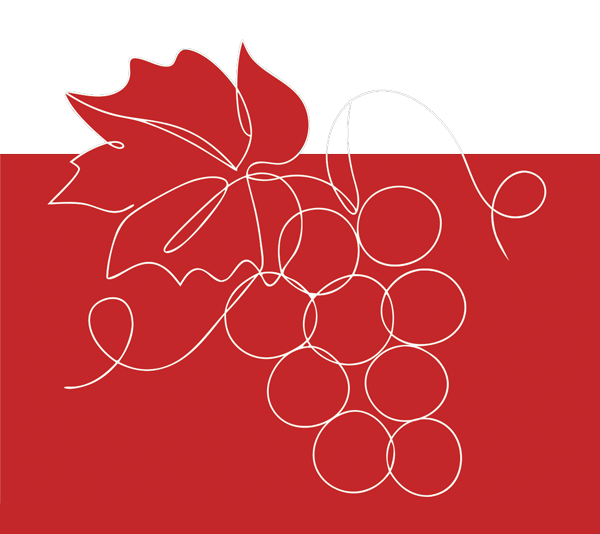 fond portes ouvertes