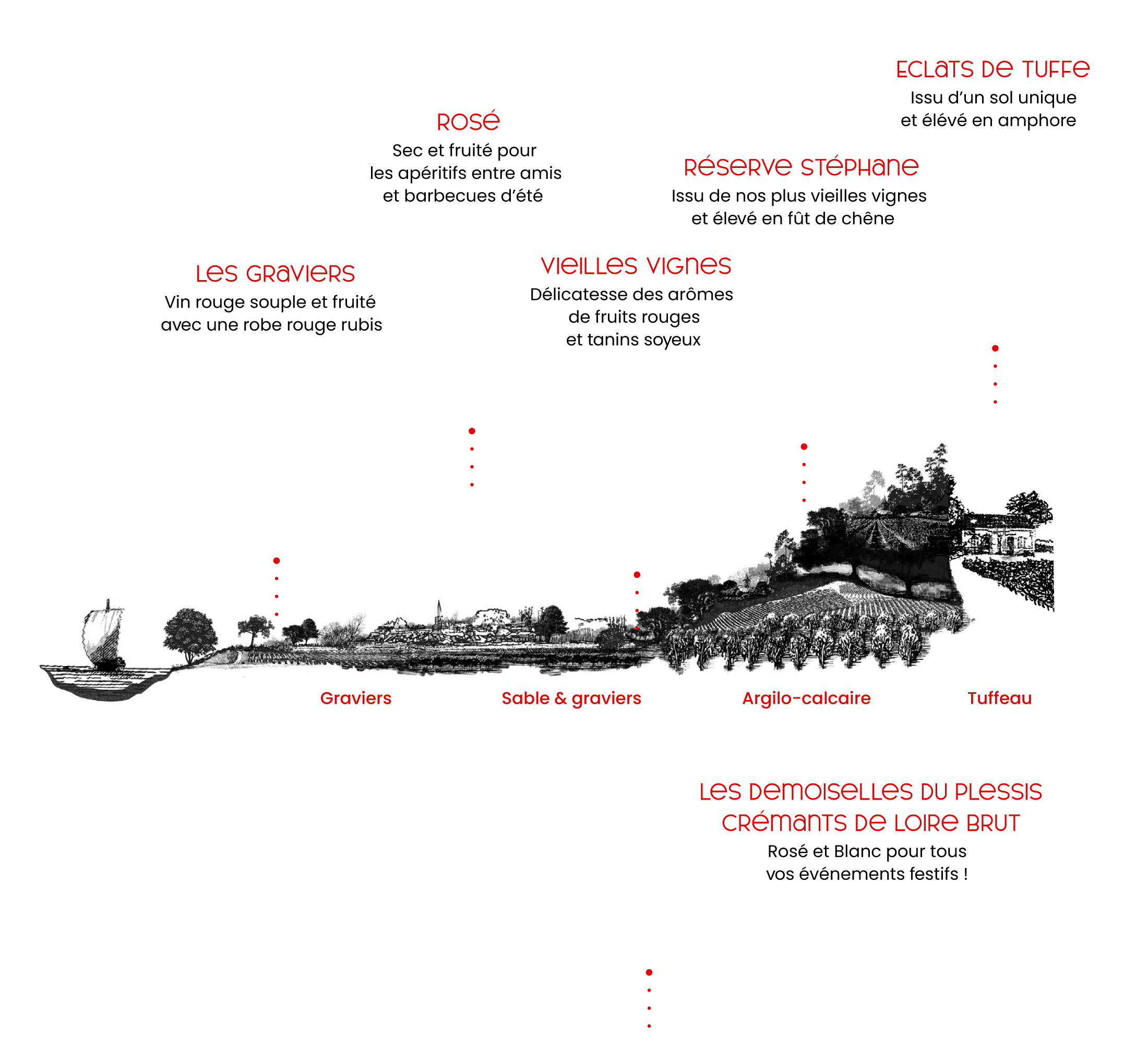 Profil du vignoble Saint Nicolas de Bourgueil