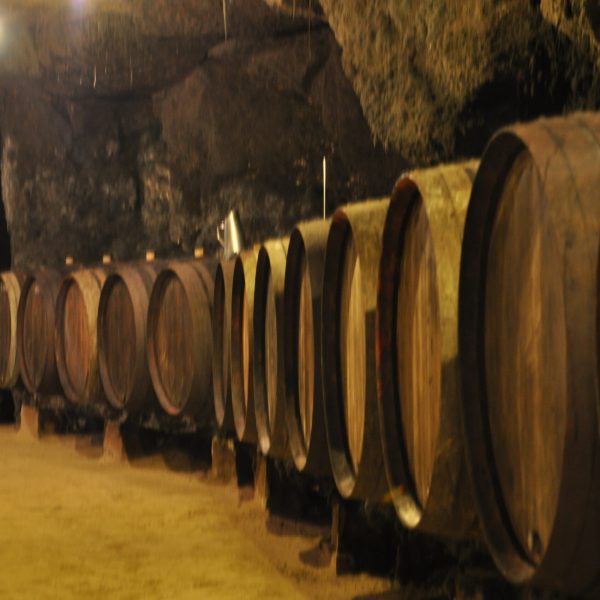 Cave et barriques
